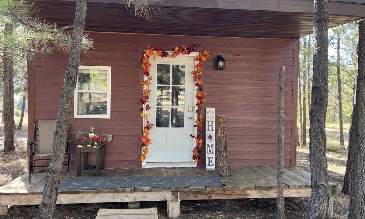 Edgemont Cabin | The little cabin in the woods! Nearby great trails and hunting!