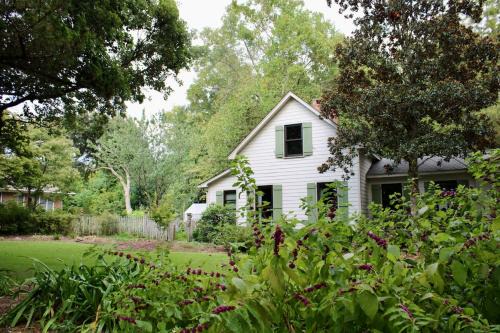 Camden Apartment | The Little Gardeners Cottage