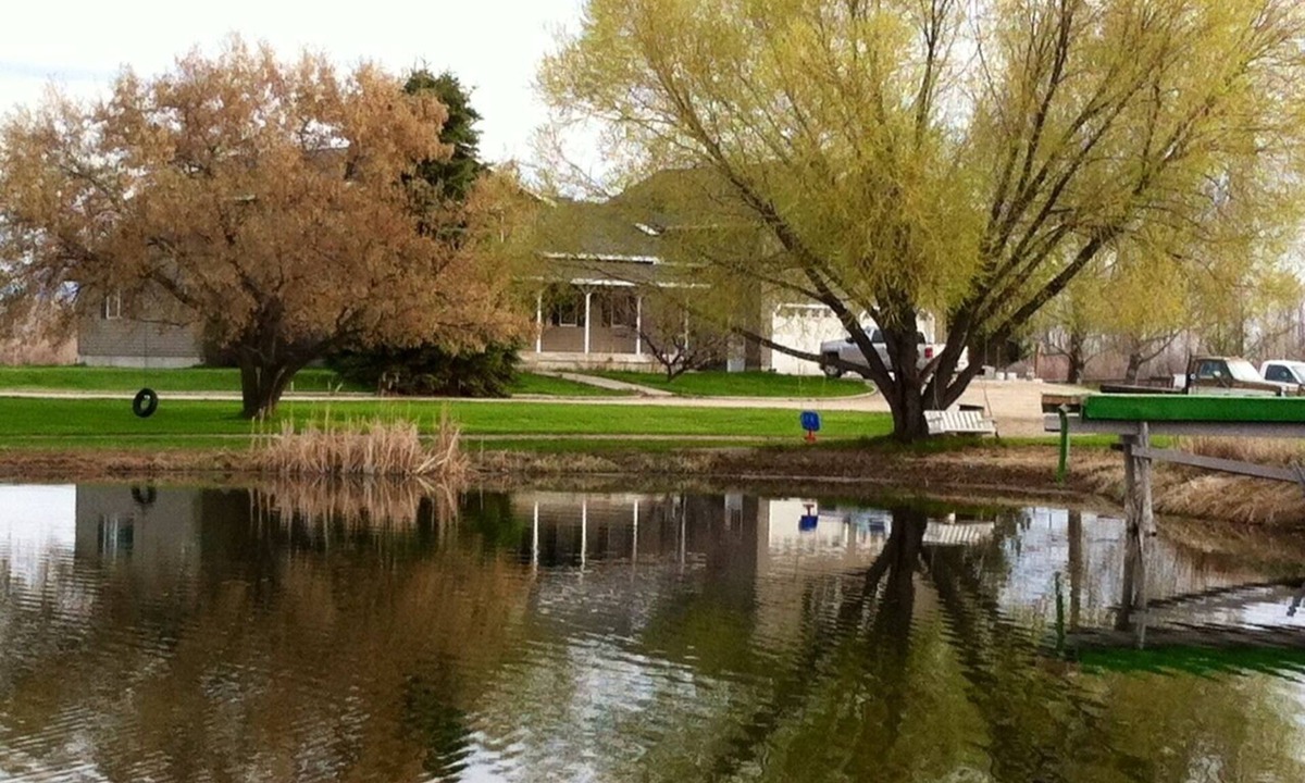 Grantsdale House | The Ponds-A Working Ranch
