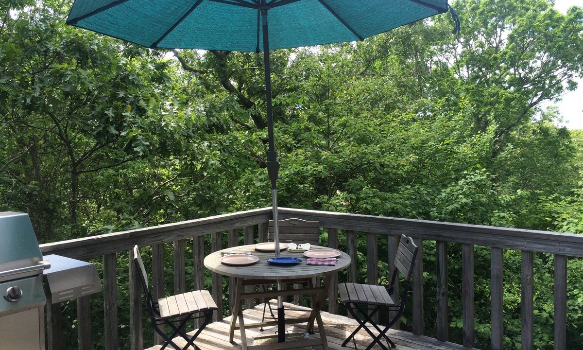 Aquinnah House | Up-Island Treehouse with Roofdeck and Waterviews