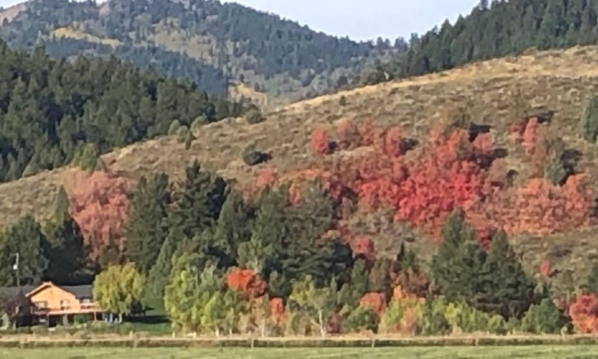 Bancroft Cabin | Welcome to our Mountain Family Cabin near Lava Hot Springs!
