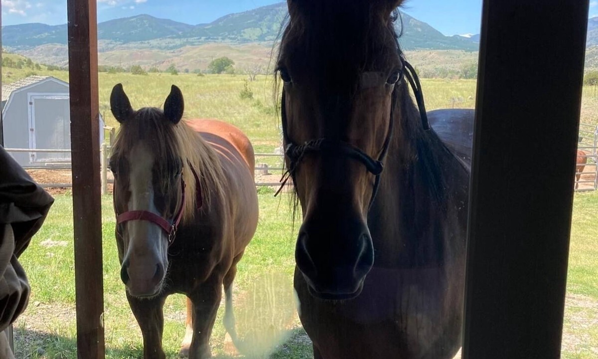 Pray House | Wonderful Montana experience with great views and horses! Yellowstone 25mi