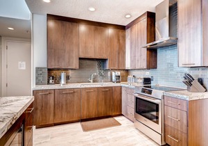 100 Percent Completely Renovated Gorgeous Snowbird Ski In/Ski Out Condominium