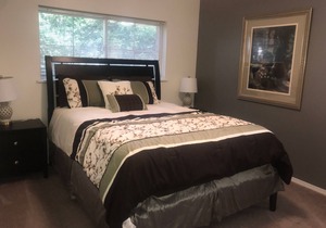 3 BR Fabulous Group/Family Getaway - Fully Furnished - Central Boise - D107