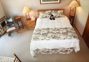 An Adventure Awaits! Sprawling Ranch Property, Pool, Horseback Riding