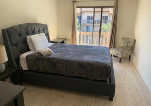 An oasis of comfort hotel style suite (C03)