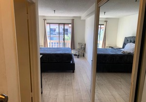 An oasis of comfort hotel style suite (C03)