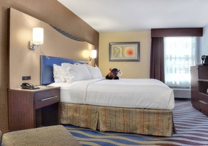 Authentic Old West Getaway! Pool, Free Parking, Minutes to Buffalo Bill Center