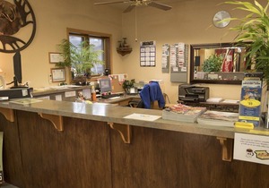 Beautiful 1 bedroom unit at resort, sleeps 4
