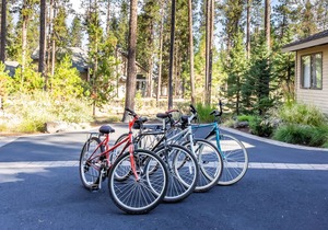 Beautiful, single-level 3 bedroom in central Sunriver - FILB01