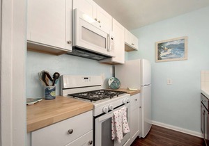 Ben's Beach Bungalow 3, Ocean View Mission Beach 1BR