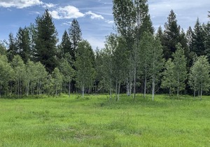 Cabins At Hay Creek Beautiful Log Cabin Stunning Views Glacier National Park