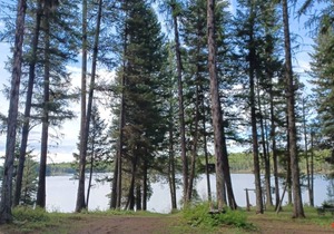 Campsite #9 with Lake Access