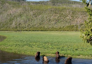 Casa Moonlight One - Ideal Rental for Summer Activities and Trips to Yellowstone