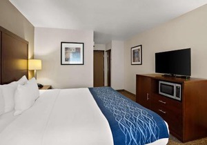 Comfort Inn Lacey - Olympia