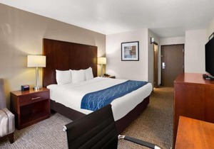 Comfort Inn Lacey - Olympia