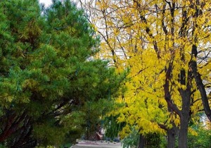 Convenient Stay in Idaho! 3 Comfortable Units, Free Breakfast, Onsite Pool