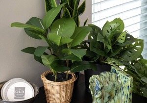Covington Escape—Relaxing 1BR Apartment