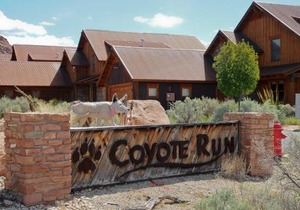 Coyote Run 9