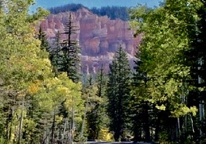 Fabulous Find/CozyCondo Nestled in the Pines/Fishn'/Hikin'/Central/Bryce/ZionGem