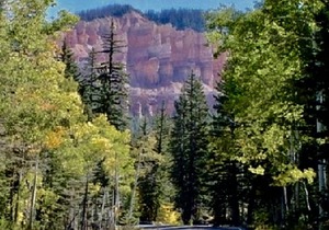 Fabulous Find/NEW King CozyCondo Nestled in thePines/Hikn'/Central/Bryce/ZionGem
