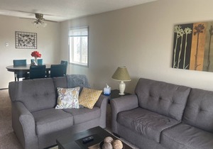 Furnished Fargo 2 bed, 2 bath home away from home!