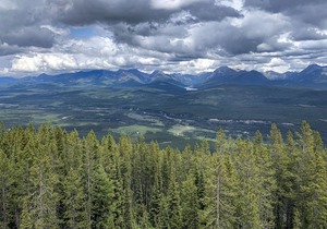 Gorgeous 2 Br Log Cabin 3 Miles From the Bowman Lake Entrance Into Glacier Park