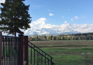 Gorgeous 2 Br Log Cabin 3 Miles From the Bowman Lake Entrance Into Glacier Park