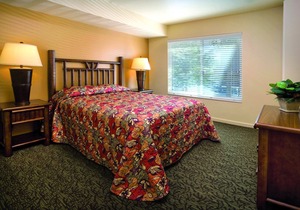 Leave your worries at the door!
