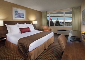 Look No More! Free Airport Shuttle & Continental Breakfast, Pets Allowed