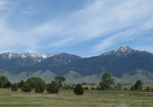 Paradise Valley View Cabin