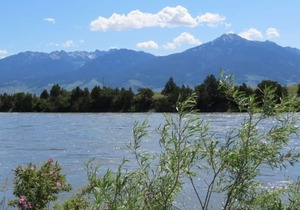 Paradise Valley View Cabin