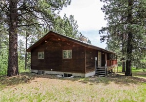 Ponderosa Cabin 197 - Three Bedroom Cabin