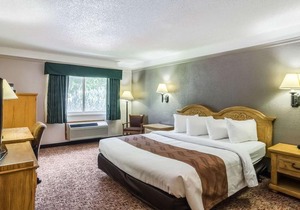 Quality Inn Buffalo