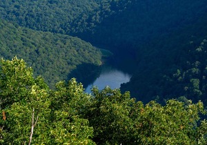 Tentrr State Park Site - WV Coopers Rock State Park - Site E - Single Camp