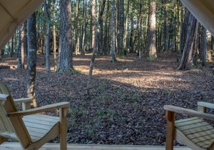 Tentrr State Park Site - Mississippi Percy Quin State Park - Southside Lakeview