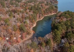 Tentrr State Park Site - Mississippi JP Coleman State Park - Shady Bluff A - Si