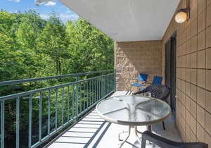 two bedroom condo sleeps 8 persons