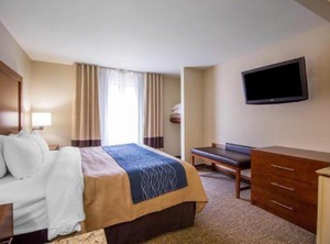 Comfort Inn Suites The Hills | Deadwood