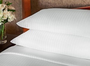 Lion Inn Suites Everett | Northwest Everett