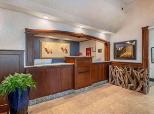 Surestay Hotel | Buffalo