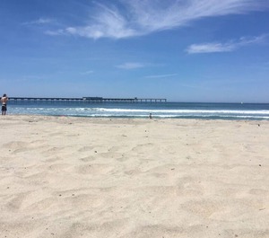 Ocean Beach 