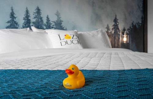 West Yellowstone Hotel | 23 m² Hotel ∙ 1 bedroom ∙ 2 guests