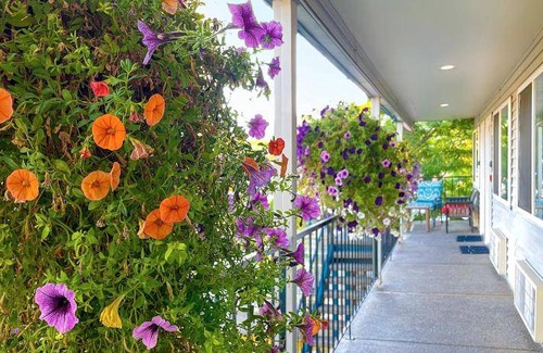 Garden District Hotel | 25 m² Motel ∙ 127 guests