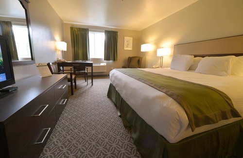 Billings Hotel | 26 m² Hotel ∙ 10 guests