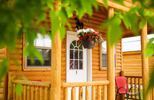 Dayton Cabin | 31 m² Cabin ∙ 1 bedroom ∙ 3 guests