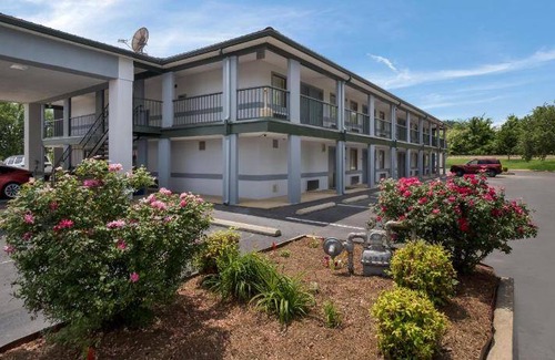 Ripley Hotel | 39 m² Motel ∙ 2 guests