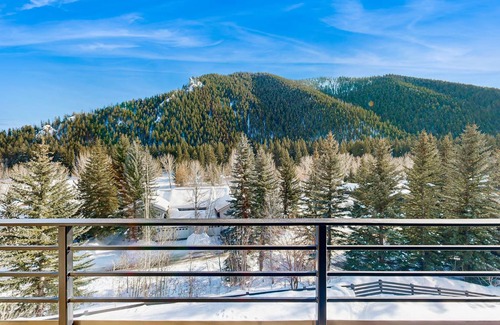 Warm Springs Condo | 50 m² Condo ∙ 1 bedroom ∙ 2 guests