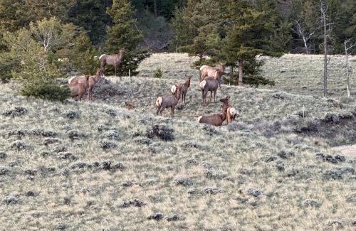 Wapiti House | Cody WY Yellowstone Luxury Mountain Retreat