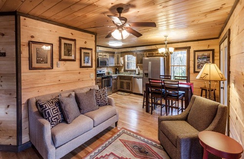 Ellijay Cabin | Dancing Waters - River Front, Fishing, Game Room